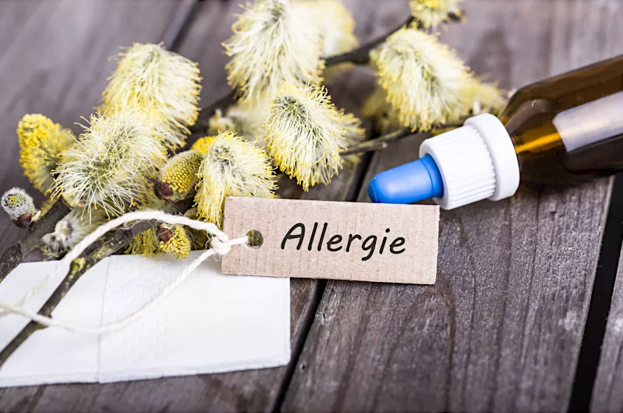 Allergien